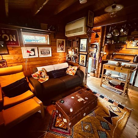 Retro Private Lodge With Hot Tub Nr Dartmoor Newton Abbot Ngoại thất bức ảnh