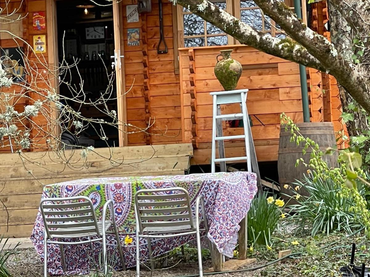 Retro Private Lodge With Hot Tub Nr Dartmoor Newton Abbot Ngoại thất bức ảnh