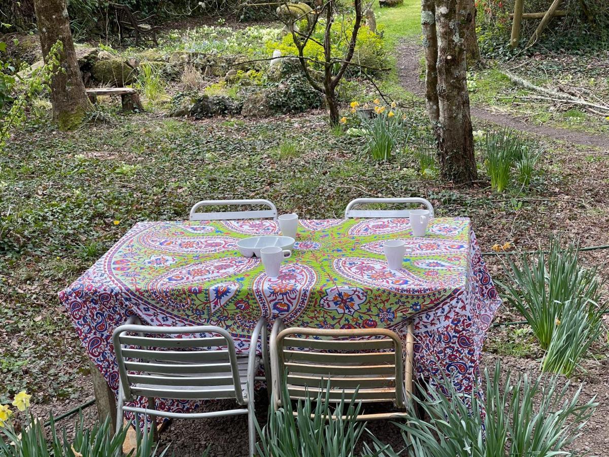 Retro Private Lodge With Hot Tub Nr Dartmoor Newton Abbot Ngoại thất bức ảnh