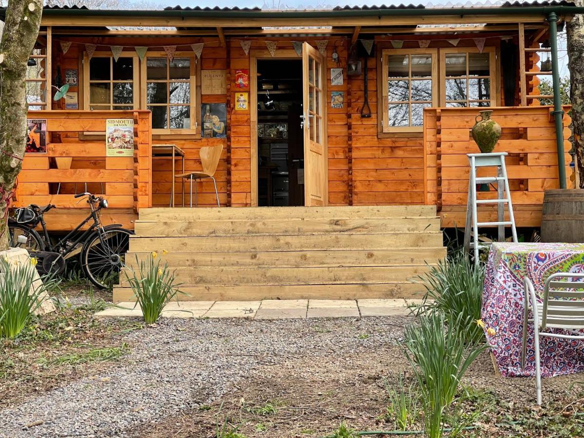 Retro Private Lodge With Hot Tub Nr Dartmoor Newton Abbot Ngoại thất bức ảnh