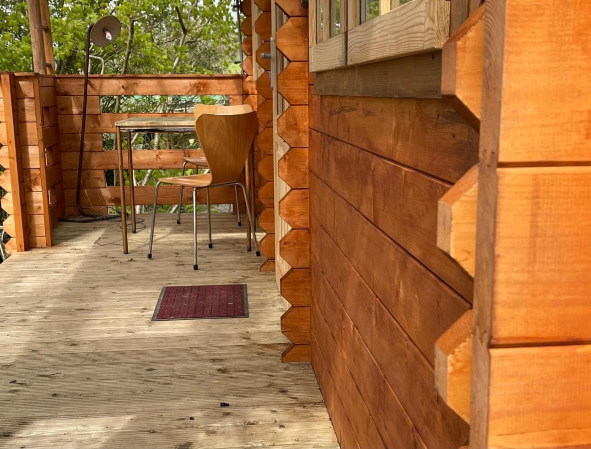 Retro Private Lodge With Hot Tub Nr Dartmoor Newton Abbot Ngoại thất bức ảnh