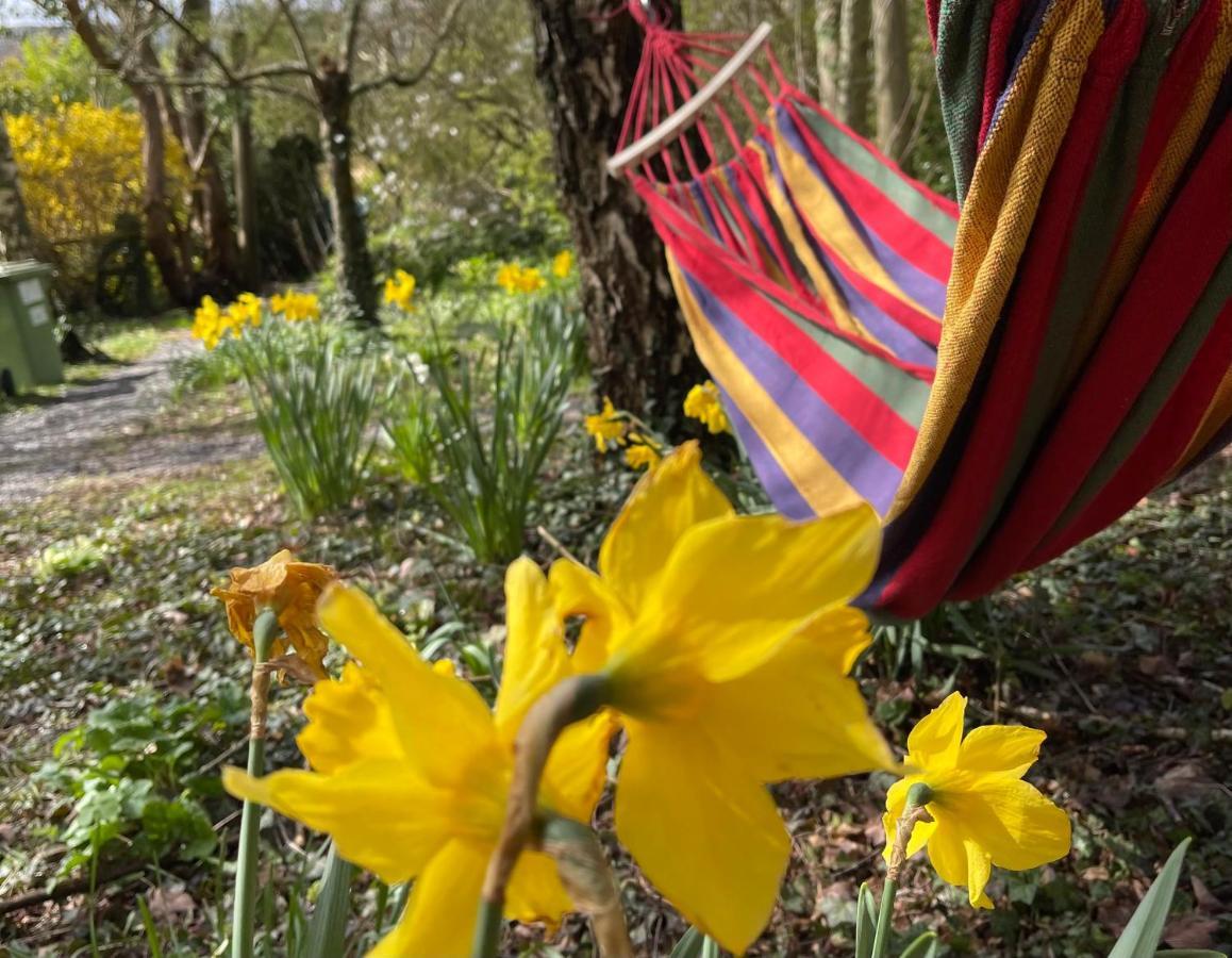 Retro Private Lodge With Hot Tub Nr Dartmoor Newton Abbot Ngoại thất bức ảnh